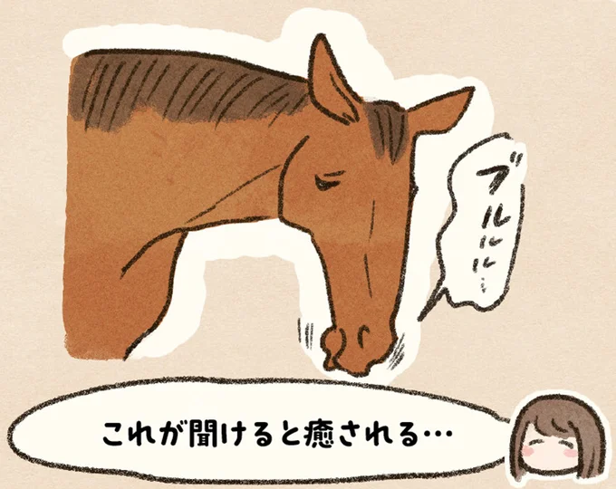 うまくできずに落ち込む私に寄り添って。馬には感情があると肌で感じた日／馬に乗らずにいられない！ 08-15.png