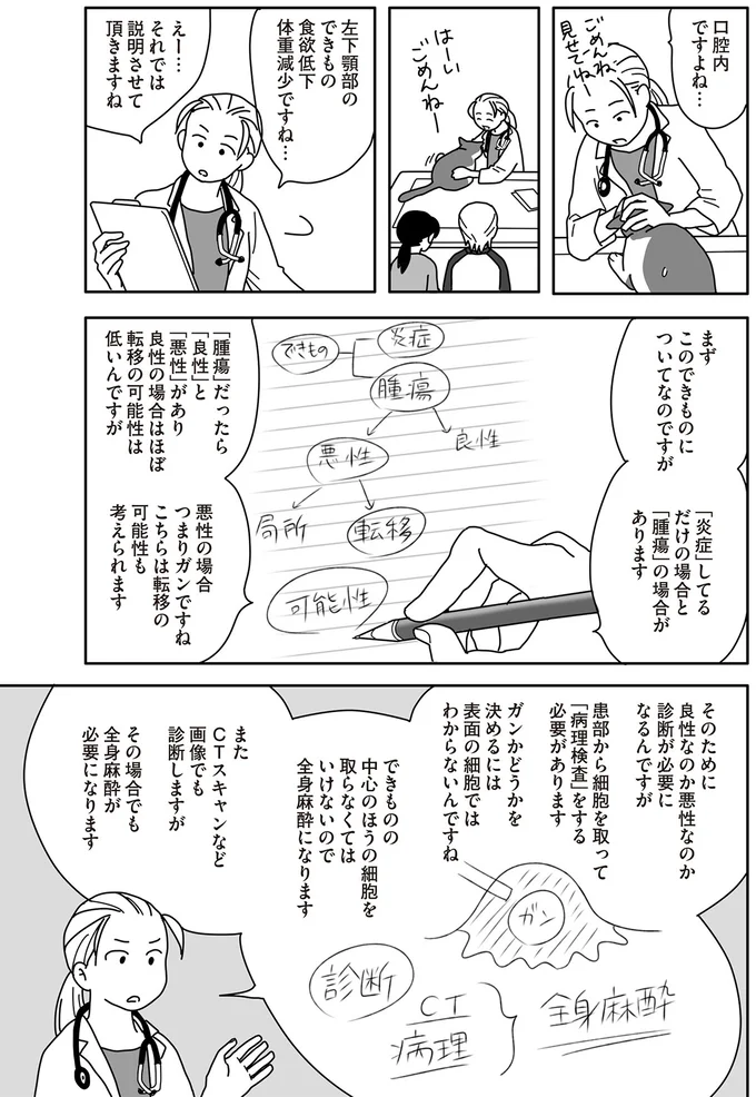 猫の下アゴを切除!? ガン専門病院で提案された治療法に飼い主の回答は...／世界一幸せな飼い主にしてくれた猫 09-03.png