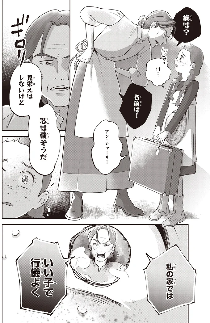 『アン・シャーリー 1』 73.webp