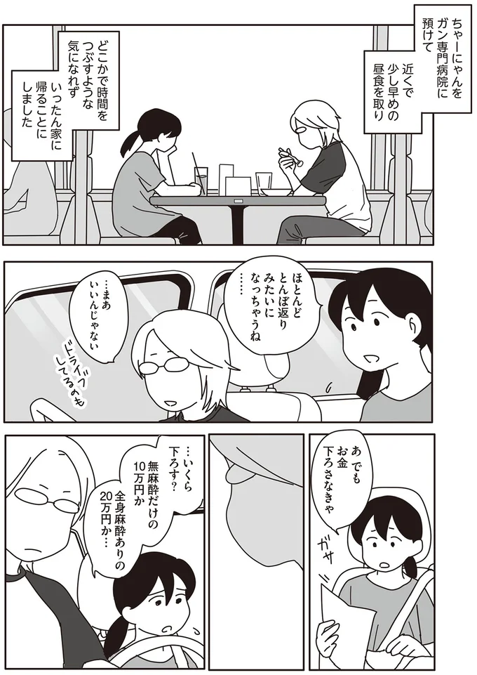 『世界一幸せな飼い主にしてくれた猫』 10-01.png