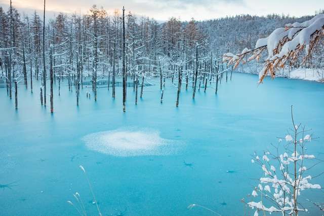 冬にしか味わえない感動！北海道の神秘的な雪絶景5選