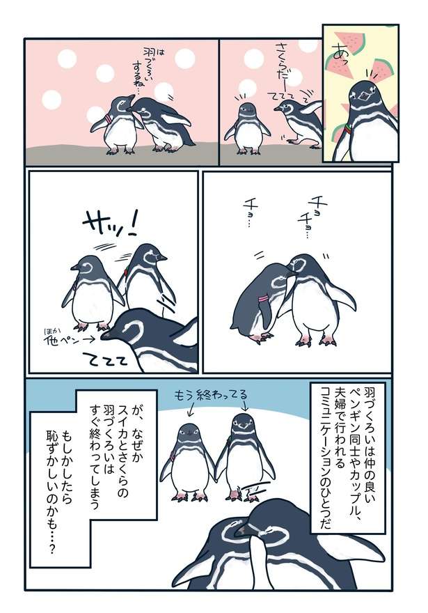 SNSで人気の「ペンギン関係マンガ」 密かに愛を育んだ「美男美女カップル」の生活とは？ 90支持率No.1カップルが愛おしい「下町ペンギン物語」第十二話3.jpg