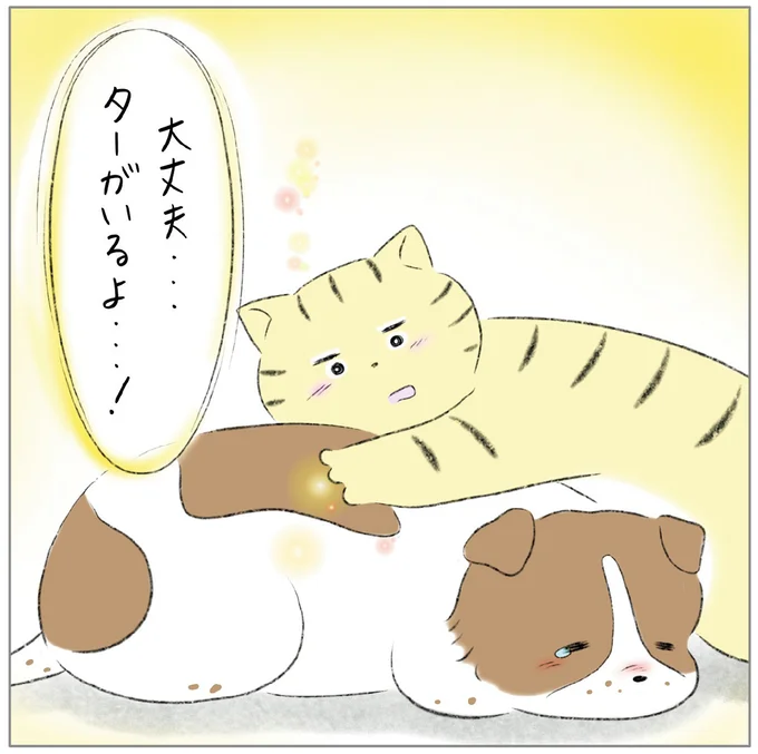 『ターとアグのしあわせ日和 元ノラ猫と元保護犬、ふたりは親友』 08-15.png