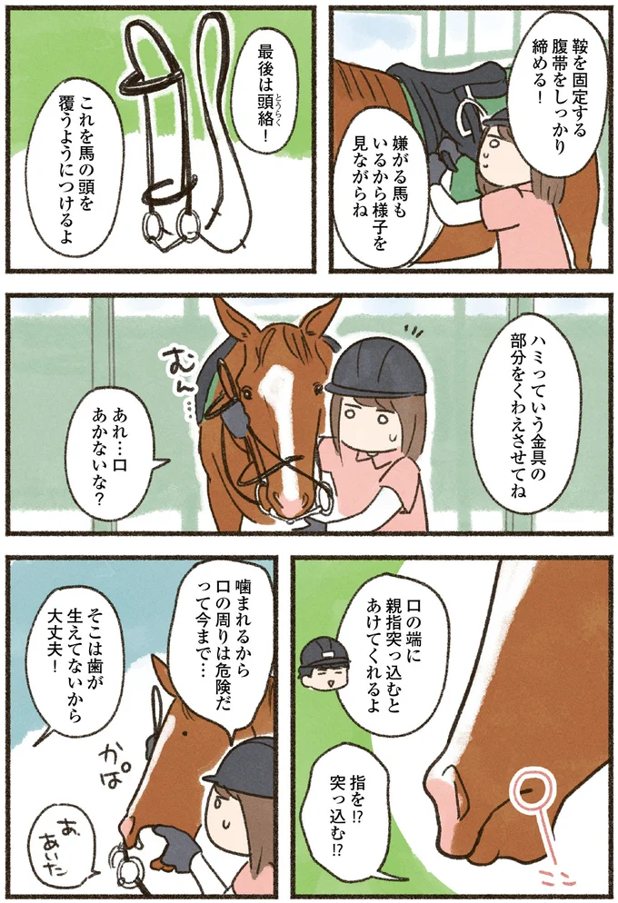 私がやると「ぷいっ」ベテランがやると「すっ」初めての馬装は難しい！／馬に乗らずにいられない！ 07-06.png