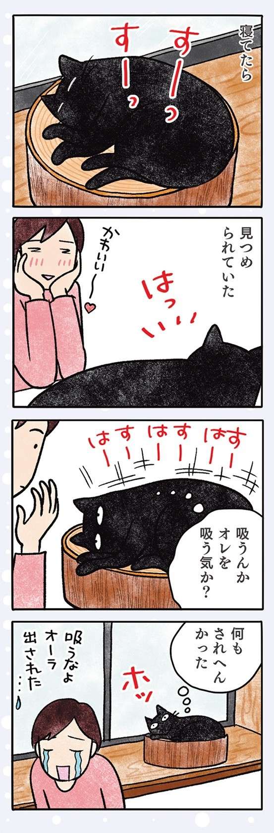 「ええの怒って」驚く猫。吸われてもモフられても我慢するのが定め!?／黒猫ナノとキジシロ猫きなこ kuroneko_nano10-4.jpg