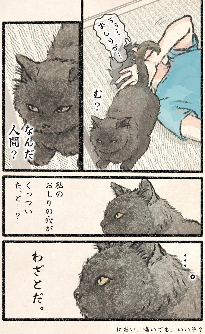 『今日もネコ様の圧が強い2』 32.webp