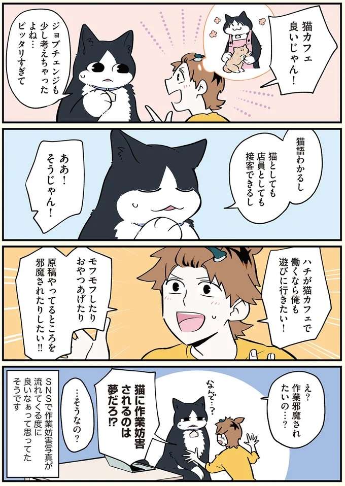 ピッタリだから悩む!? 猫になった青年の転職先選び／ブラック企業の社員が猫になって人生が変わった話 black34_3.jpeg