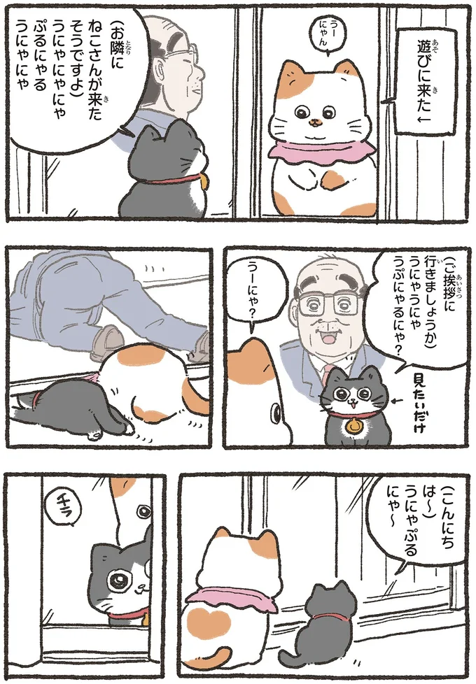 『ねこに転生したおじさん 6』 04-01.webp