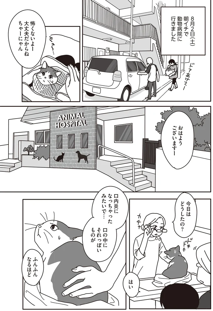 『世界一幸せな飼い主にしてくれた猫』 06-05.png