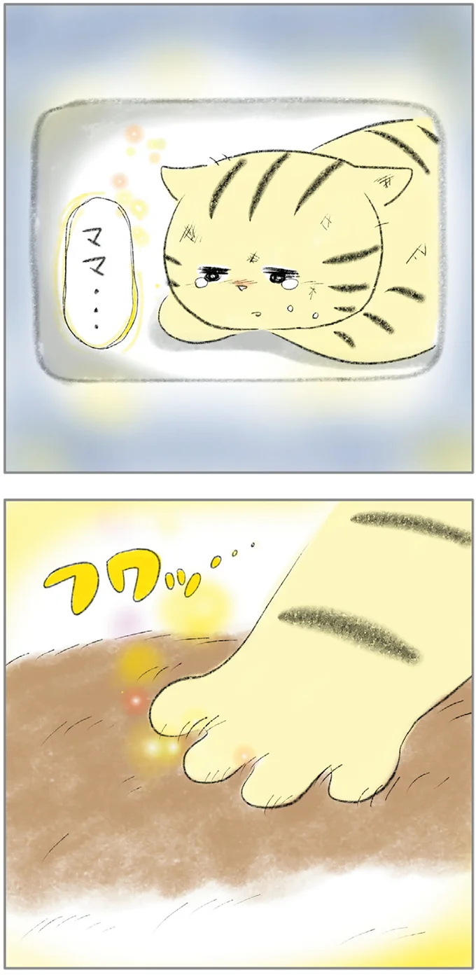 『ターとアグのしあわせ日和 元ノラ猫と元保護犬、ふたりは親友』 08-14.png