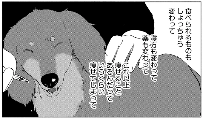 『アルへ』 03-06.webp