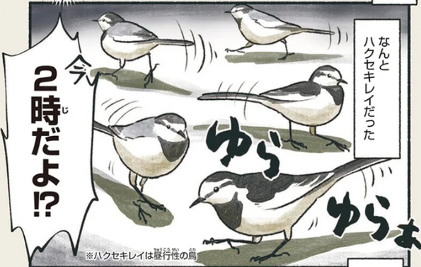 歌いながら歩いていても実は...意外と用心深い鳥／意外と知らない鳥の生活