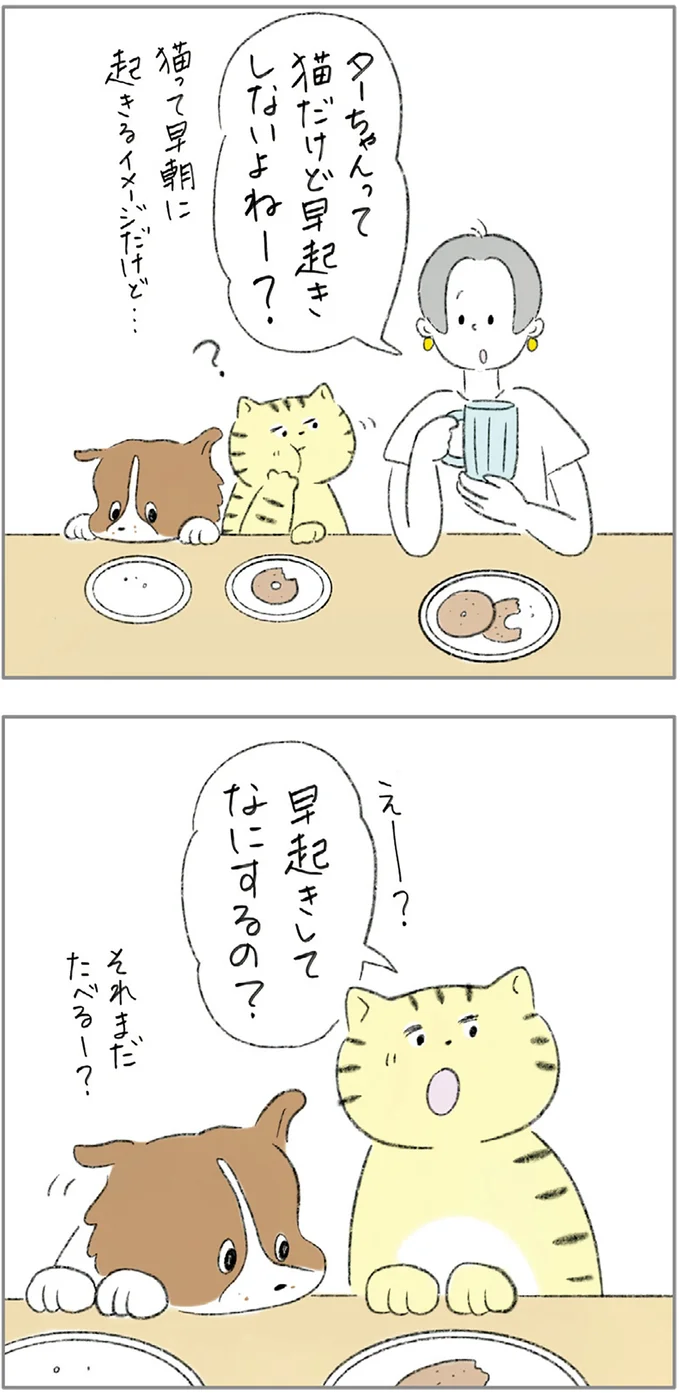 『ターとアグのしあわせ日和 元ノラ猫と元保護犬、ふたりは親友』 07-04.png