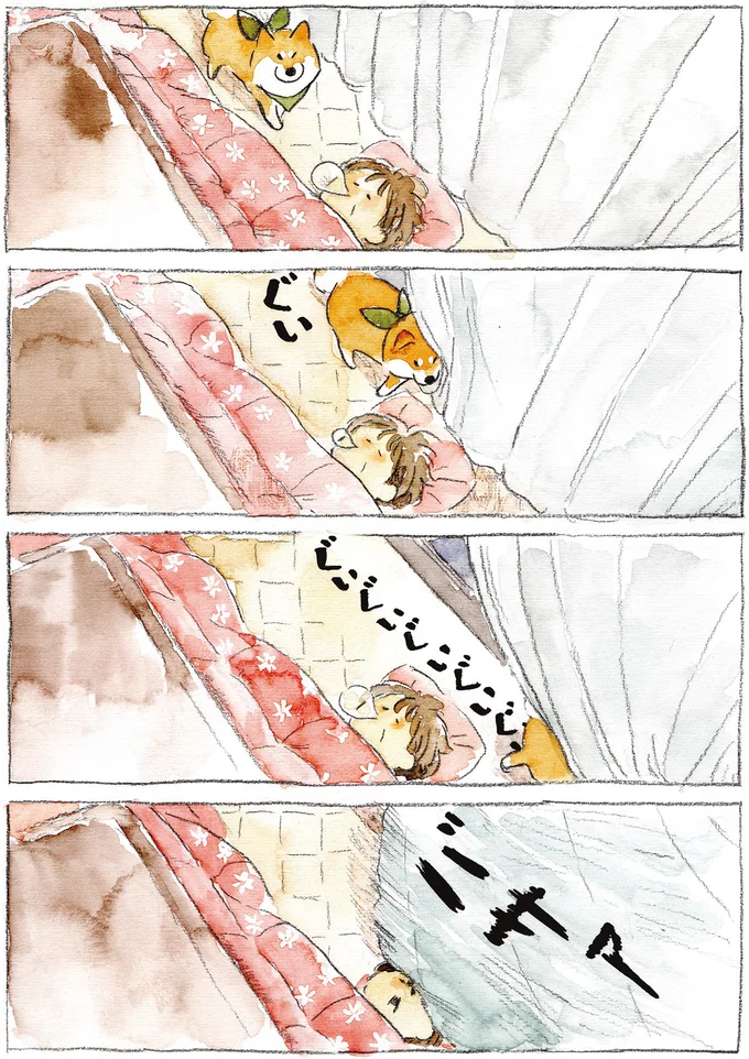 うちの柴犬は水たまりは苦手!? 飼い主泣かせの気まぐれ／柴犬ぽんちゃん、今日もわが道を行く２ 04-03.png