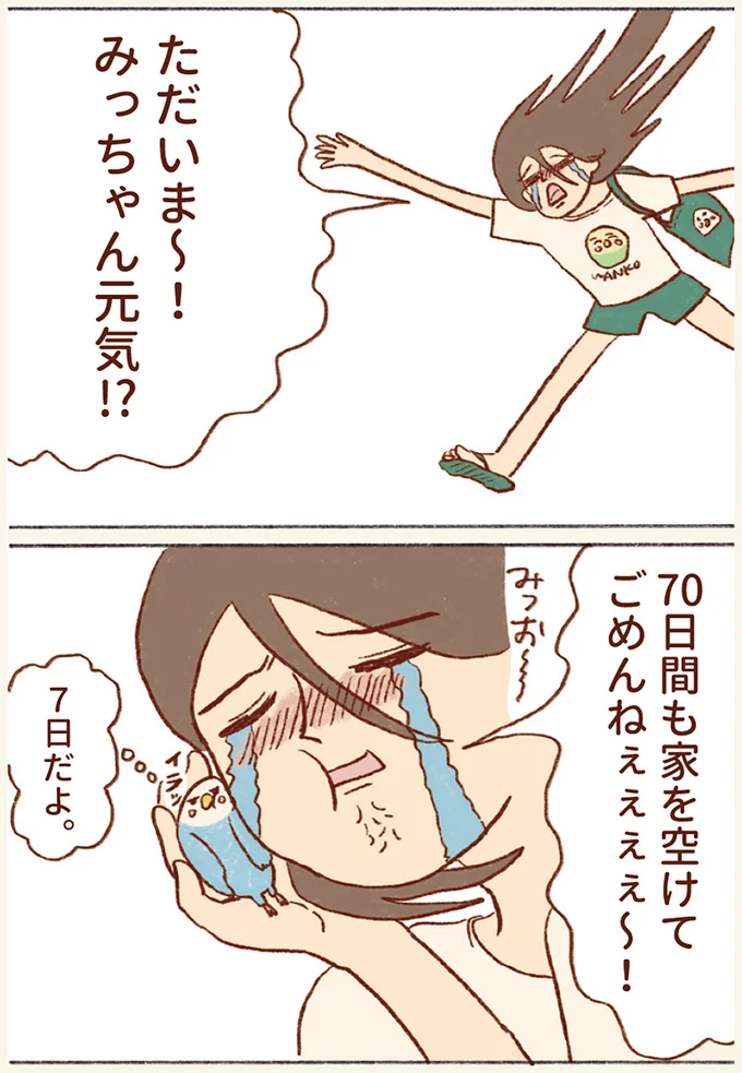 『プジェ日記！ 幸せを運ぶインコのみっちゃん』 44.webp