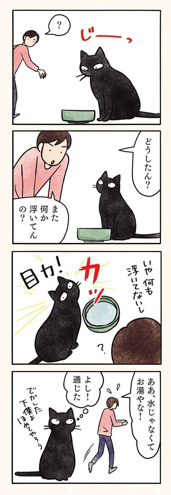 「もう覚えたで」猫が覚えた人間（＝下僕）を操る方法／黒猫ナノとキジシロ猫きなこ kuroneko_nano3-5.jpg