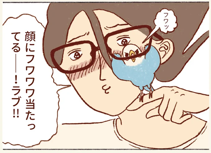 チャンスは眼鏡着用時とスマホ。たまに来るセキセイインコとのふれあいタイムが尊くて／プジェ日記！ 