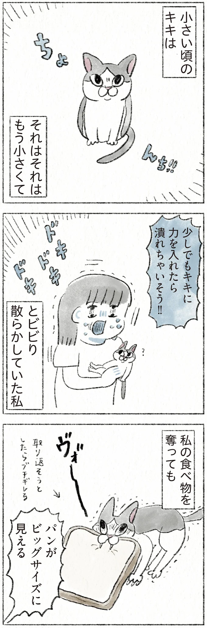 『うちの猫は今日も塩対応』 54.webp
