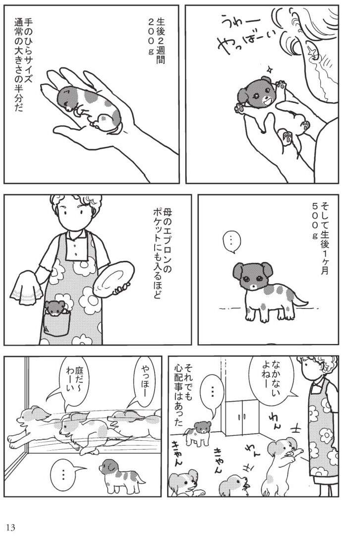 手のひらサイズの「未熟児犬」。かわいさとは裏腹に飼い主が抱く心配事／愛犬アミ、世界で一番愛した君へ 愛犬アミ②-3.jpg