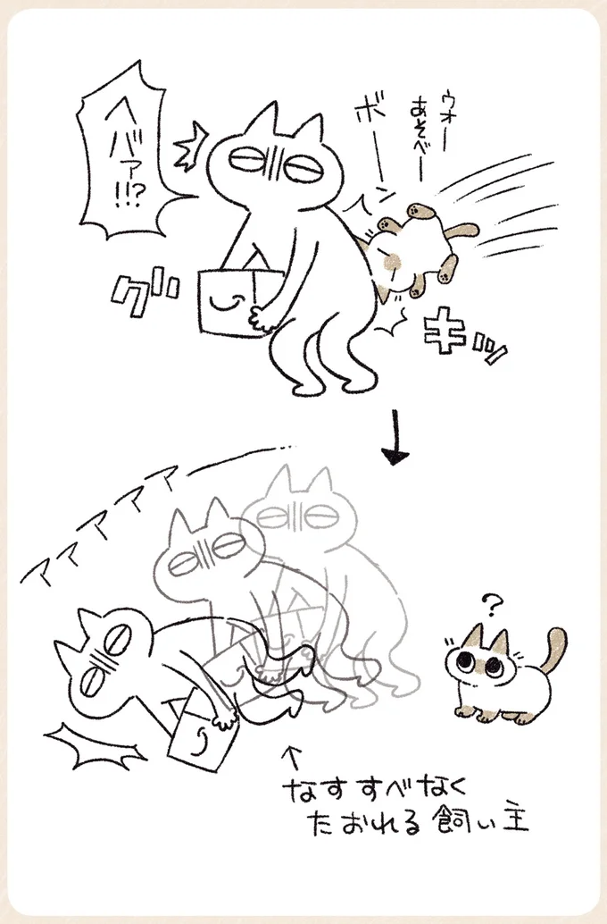 『シャム猫あずきさんは世界の中心』1〜2 09-02.png