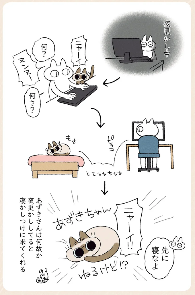 『シャム猫あずきさんは世界の中心』1〜2 22-02.png