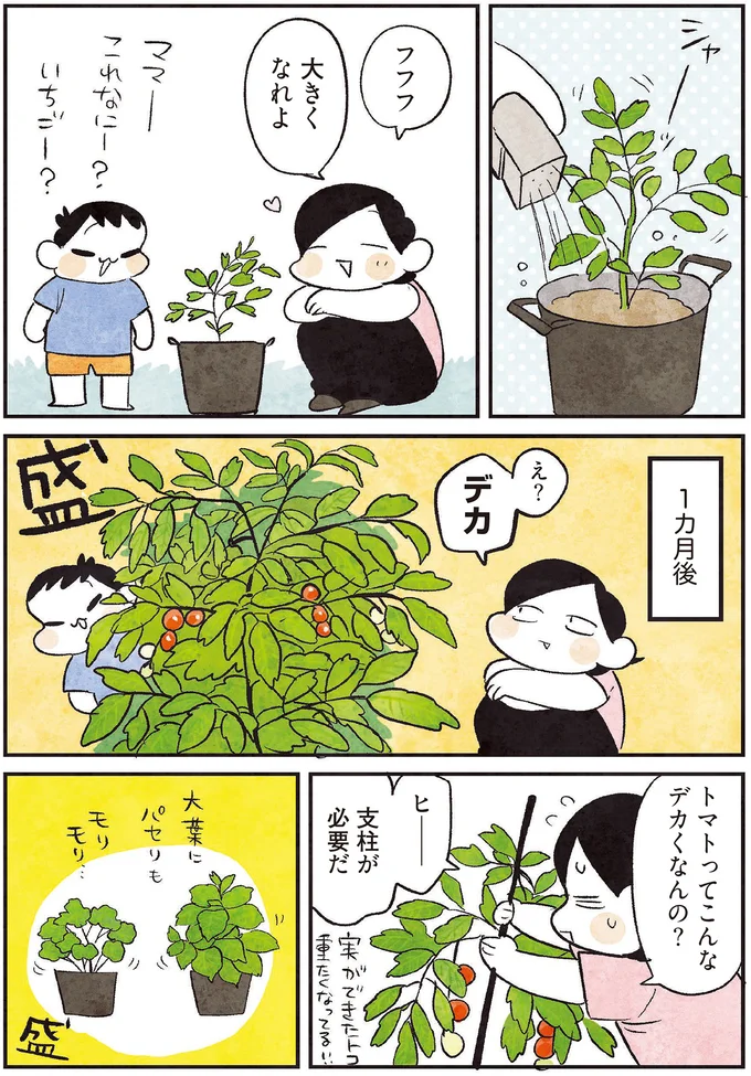 『3000円ではじめる しあわせ趣味時間』 34.png