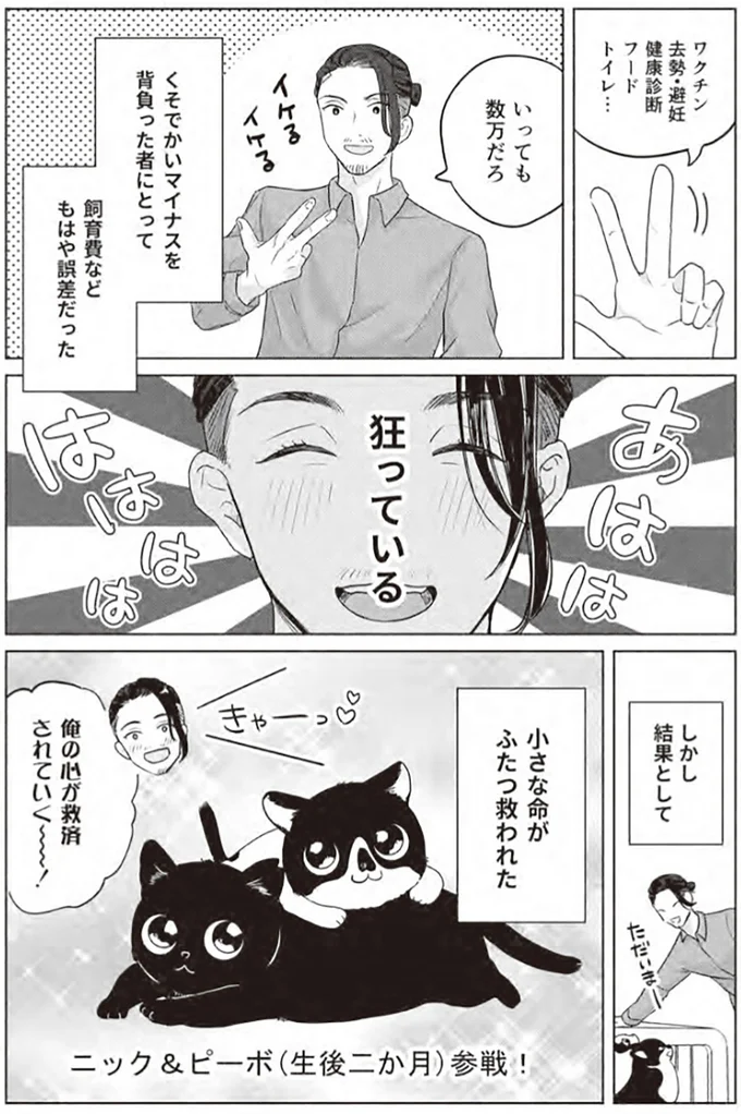 『借金1000万作曲家の人生を変えてくれた猫の話』 44.webp