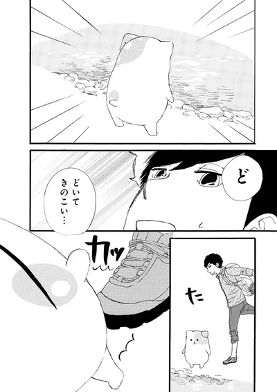 『きのこいぬ』 13776642.webp