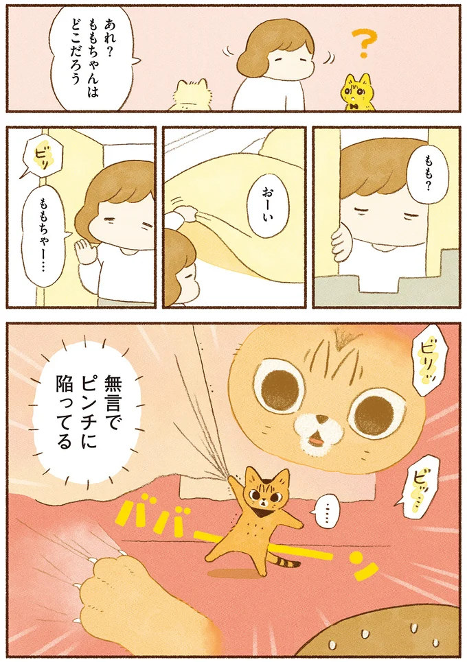 『しまねこ3姉妹と暮らしています　深まるきずな編』 13539106.webp