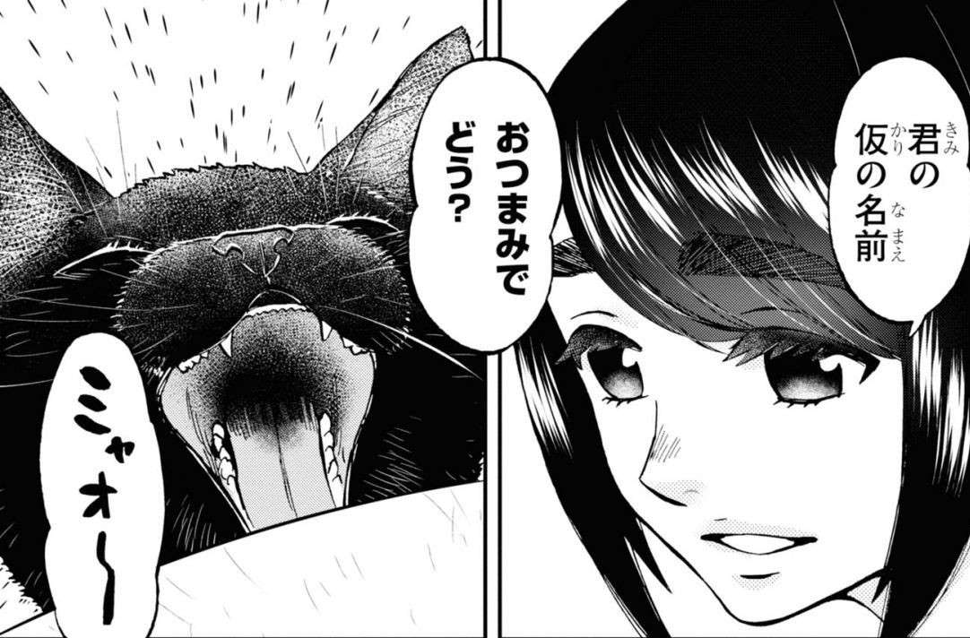 美味しいものを食べるときだけ...蘇る幸せだった頃の記憶／細村さんと猫のおつまみ