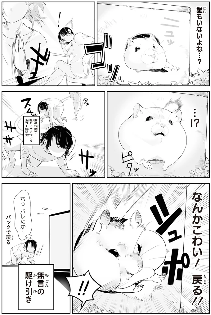 「見たい飼い主」と「見られたくないハムスター」。無言の駆け引きの結末は...?/はむはむづくし2 25-02.png