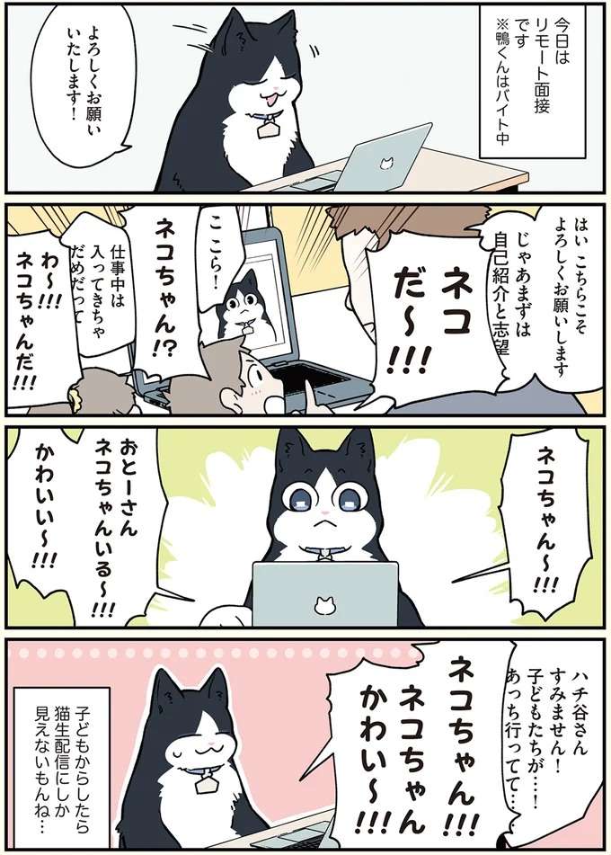 「猫ちゃん⁉」 リモート面接もうまくいかない...／ブラック企業の社員が猫になって人生が変わった話 black36_1.jpeg