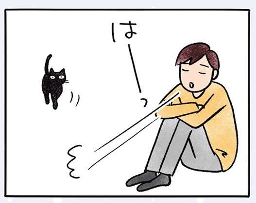 「ええの怒って」驚く猫。吸われてもモフられても我慢するのが定め!?／黒猫ナノとキジシロ猫きなこ kuroneko_nano10-1.jpg