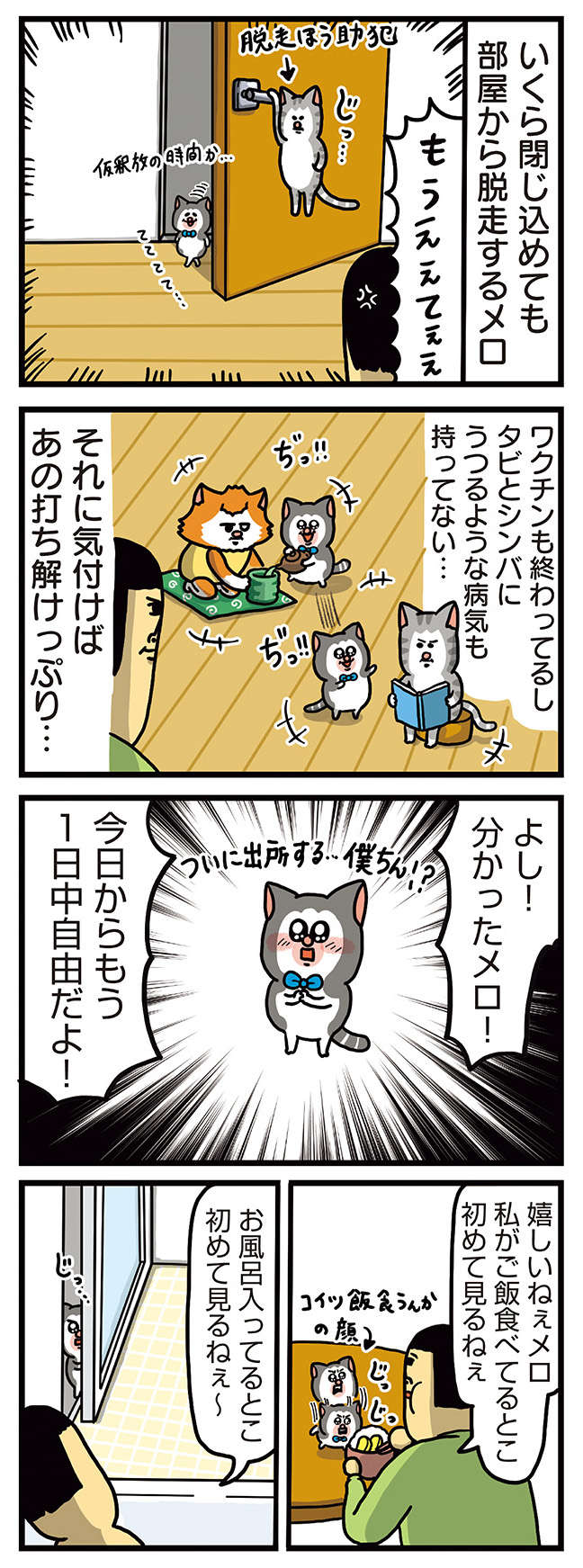 「パンパンやないか」新入り子猫のすさまじいアレ／まめきちまめこニートの日常 こまちとタビ 3 21.jpg