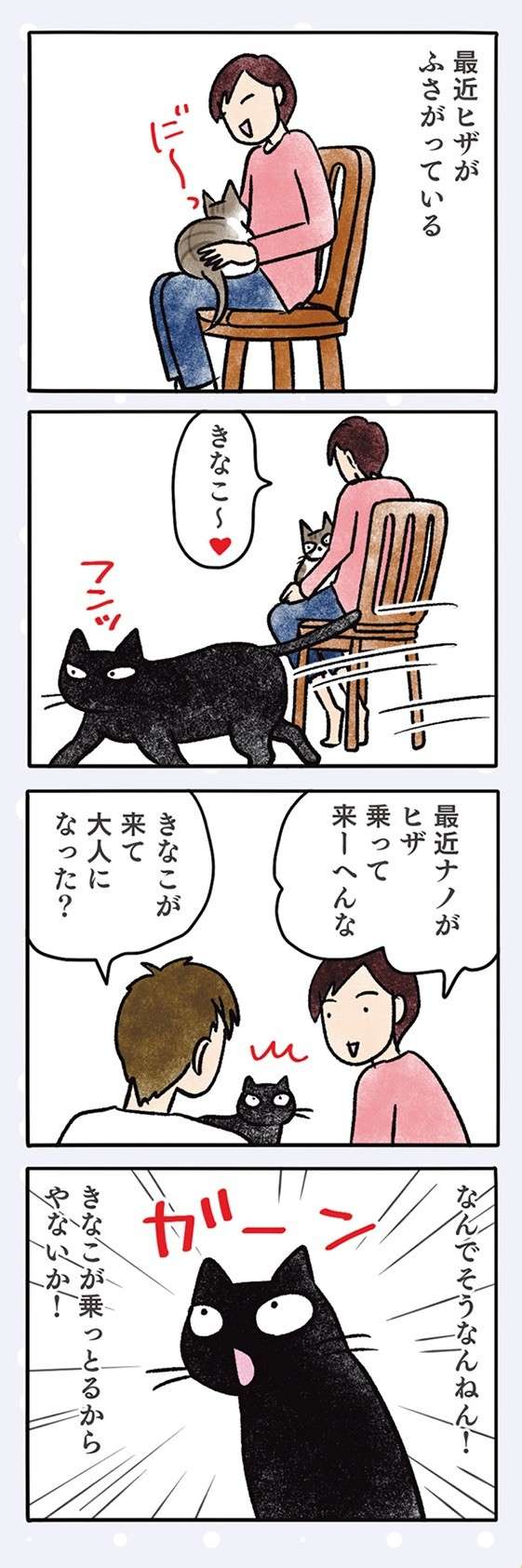 うちの猫はヒザに乗せられるのが嫌。でも「こんな時」は自分から乗ってくる／黒猫ナノとキジシロ猫きなこ kuroneko_nano12-3.jpg