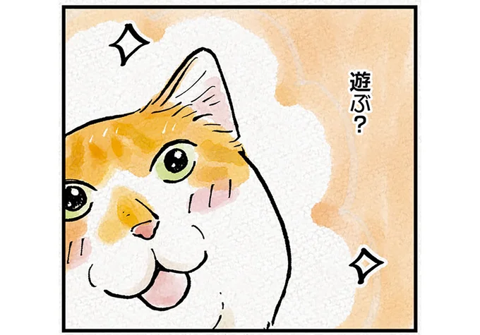 「遊ぶ?」「遊ばない?」甘えん坊な元野良猫はかまってほしくて.../元野良猫チャチャ 本日も見まわり中