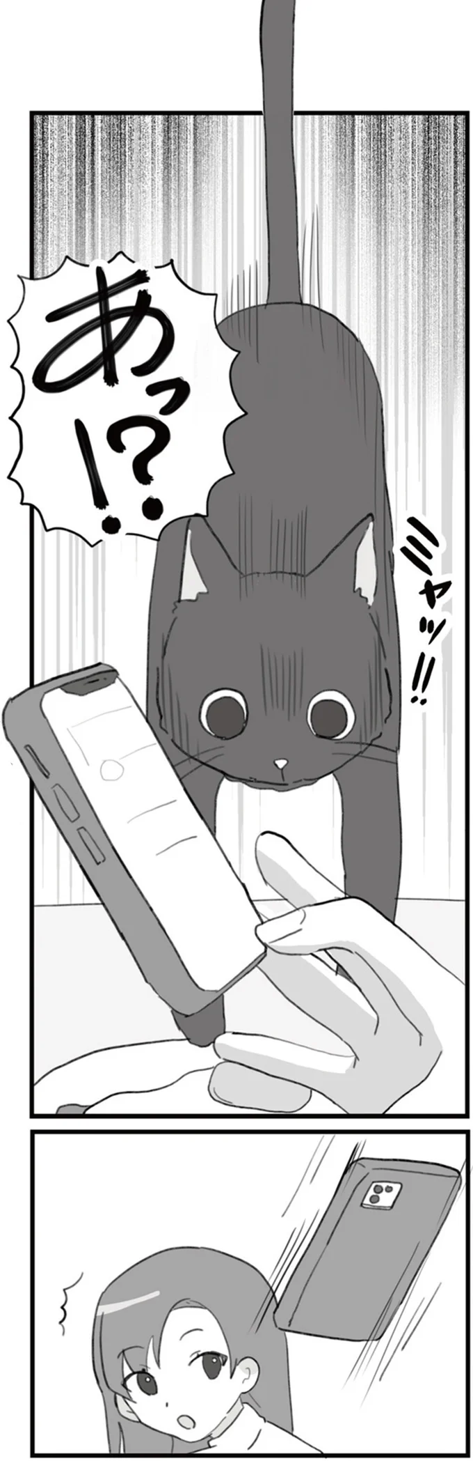 「嫁と別れたいシタ夫」？ 夫のスマホ画面を見てしまった妻。夫は「今日 遅くなる」と出て行く...／旦那の浮気を仕掛けた黒幕は姑でした 14755476.webp