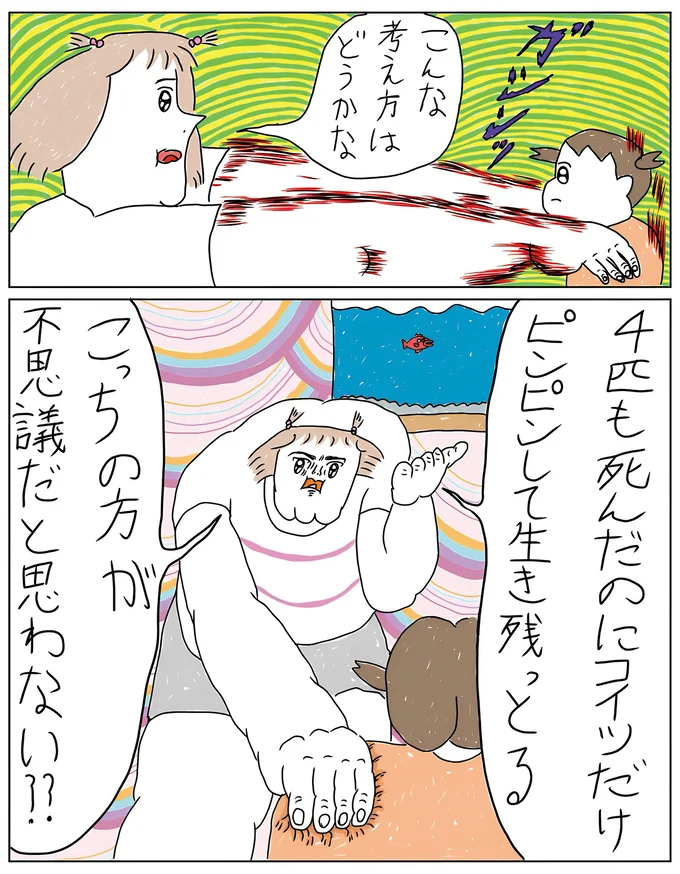 『へたくそなのに泣くほど笑える！ カッラフルなエッッブリデイ★4thステージ』 01-04.png