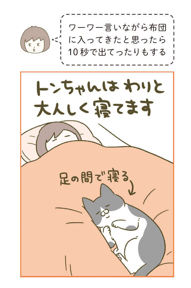 「寝る時に猫が布団に入ってくる」幸せな瞬間だが「自由すぎる猫」は／うちの猫がまた変なことしてる。5 12.jpg