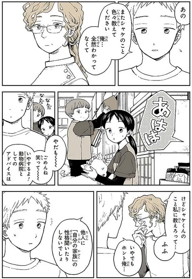 愛する猫の体調が急変！ 獣医師の指摘に飼い主が真っ青に...／特別じゃない日 15678931.webp