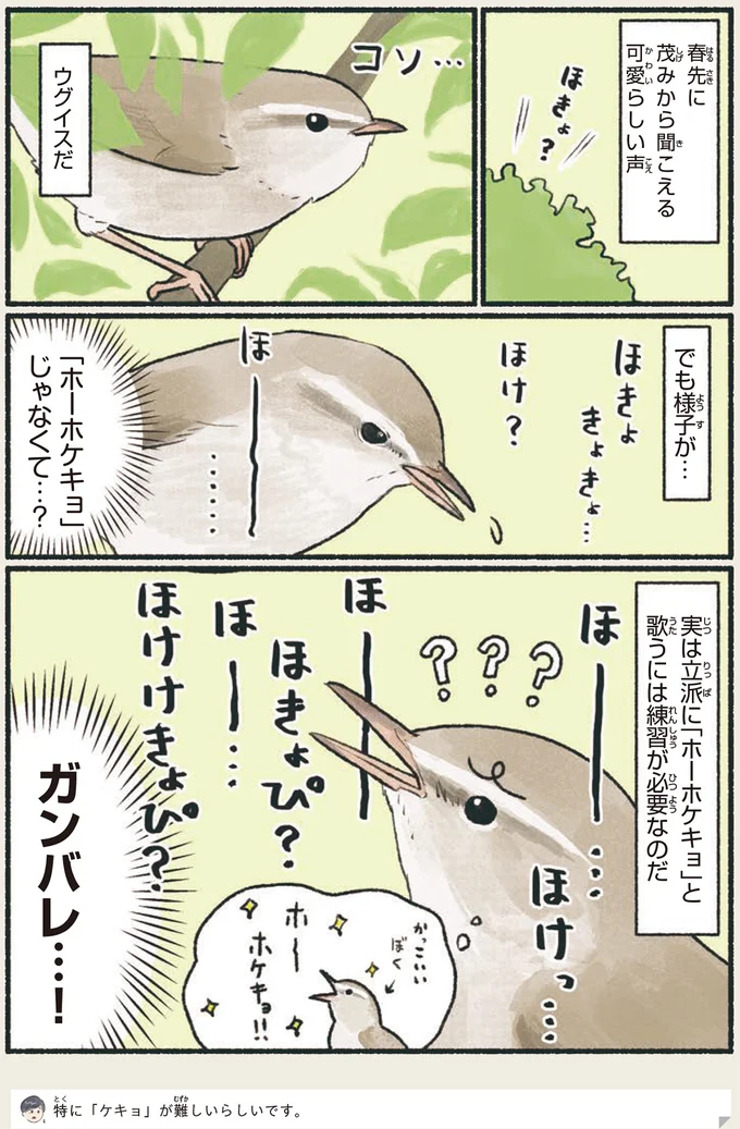 『意外と知らない鳥の生活 1〜2』 152.webp