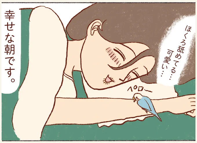 『プジェ日記！ 幸せを運ぶインコのみっちゃん』 114.webp