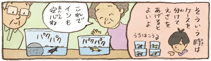 おばあちゃんとかめ 何げに楽しい2匹とのくらし 07-06.webp