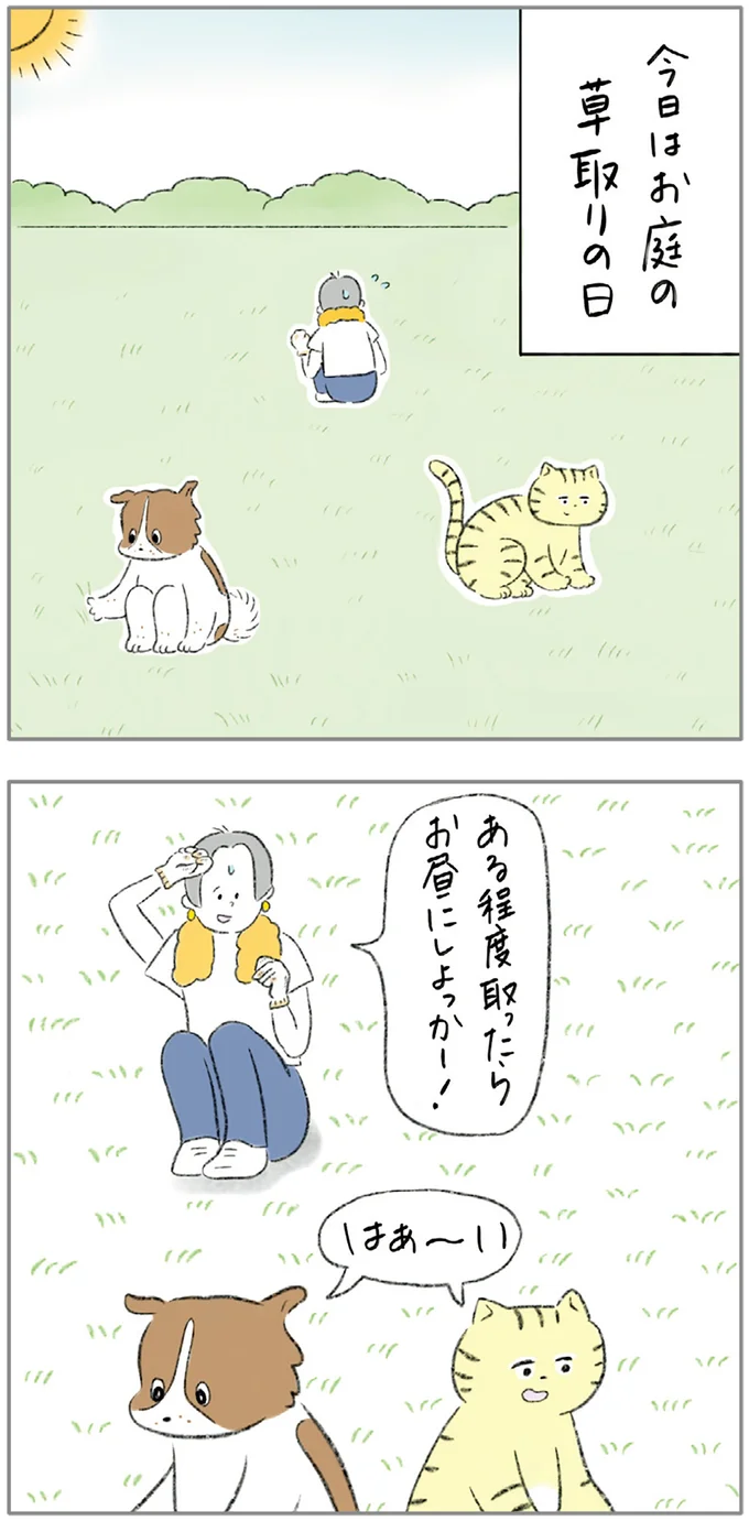 「お花さんたち抜かないでね」。優しい猫＆犬と庭の草刈りをしたら...!?／元ノラ猫と元保護犬、ふたりは親友 04-01.png