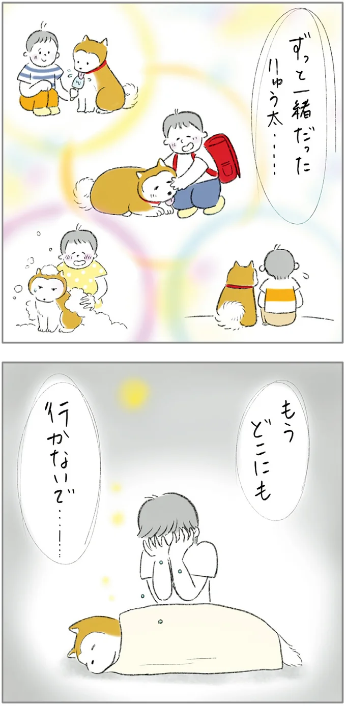 『ターとアグのしあわせ日和 元ノラ猫と元保護犬、ふたりは親友』 06-04.png