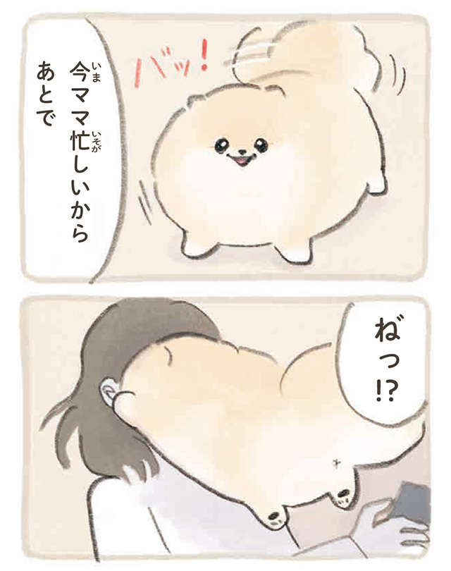 昼は遊んでくれるまで全力アピールの愛犬。夜はオフモードになり...え？／ふわふわポメのぽぽち popochi_p47-3.jpg