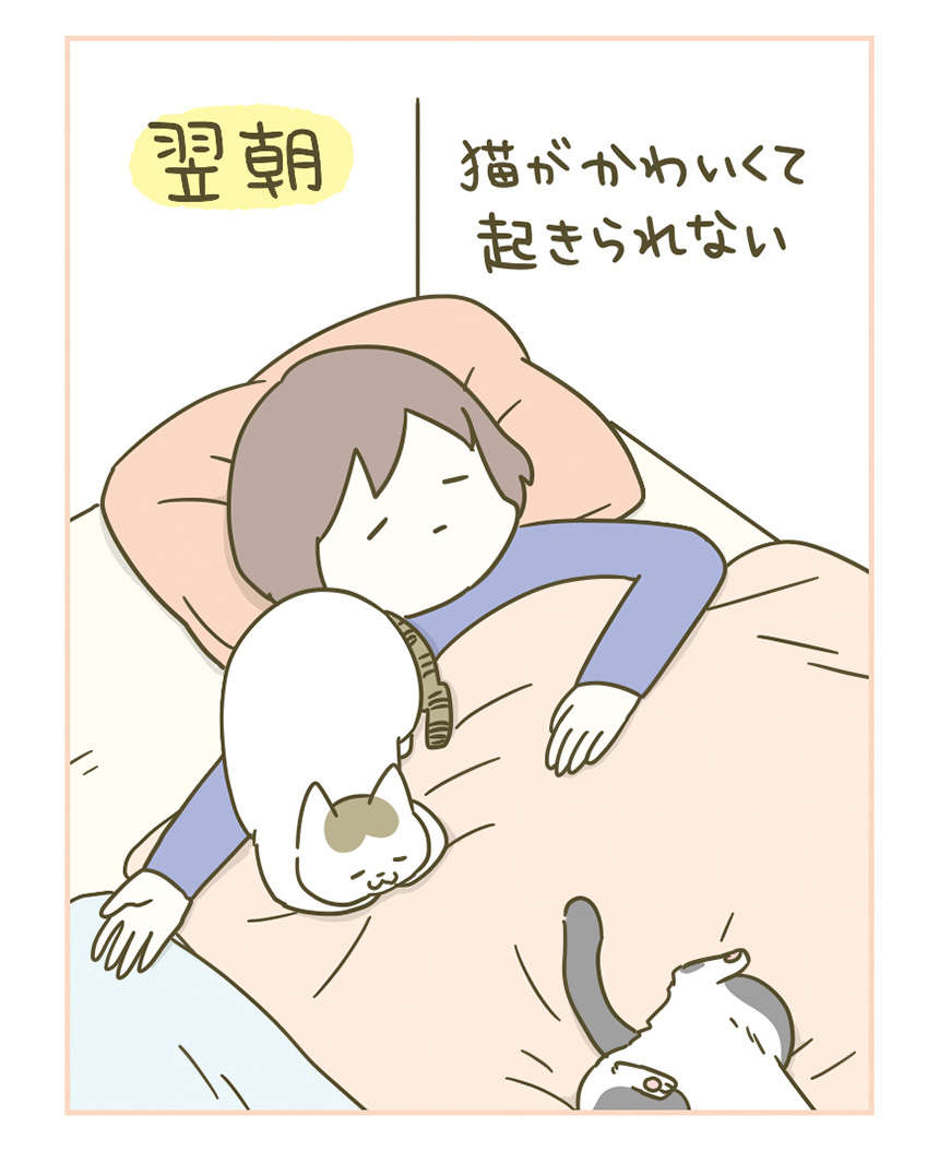 猫がいると「眠れないし起きられない」。なぜなのか／うちの猫がまた変なことしてる。3 11.jpg