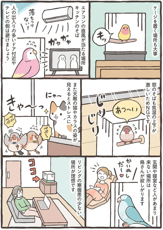 人間の家と一緒。小鳥を飼うのに重要なゲージとその置き場所とは？／トリ扱い説明書 52.png