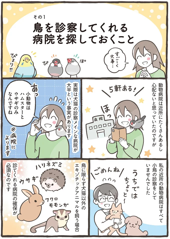 かかりつけの病院に家族の同意。小鳥と暮らすための必須項目／トリ扱い説明書 22.png