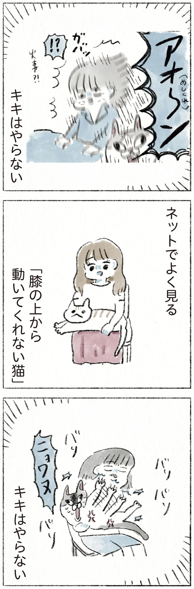 『うちの猫は今日も塩対応』 74.webp
